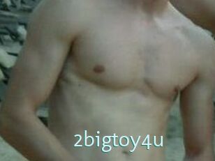 2bigtoy4u