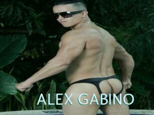ALEX_GABINO Straponles