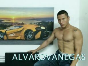 ALVAROVANEGAS