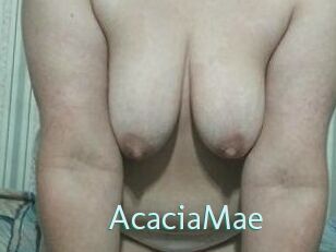 AcaciaMae