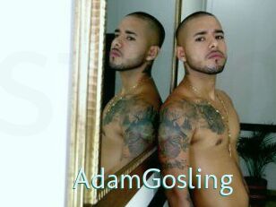 AdamGosling