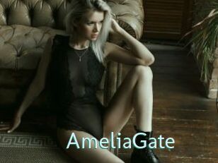 AmeliaGate