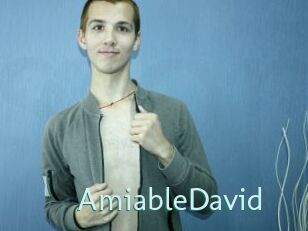 AmiableDavid