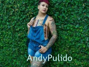 AndyPulido