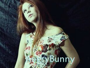 AngryBunny