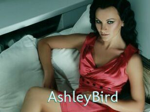 AshleyBird