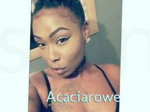 Acacia_rowe