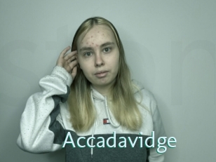 Accadavidge