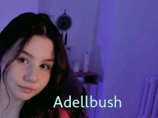 Adellbush