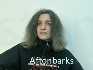 Aftonbarks