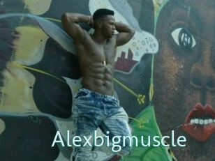 Alexbigmuscle