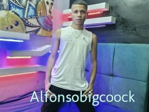 Alfonsobigcoock