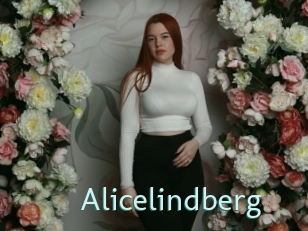 alicelindberg Straponles