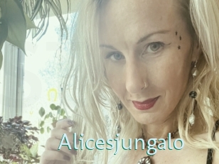 Alicesjungalo
