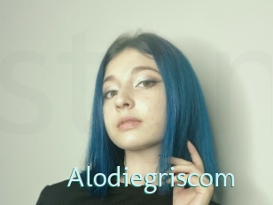 Alodiegriscom