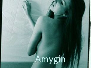 Amygin