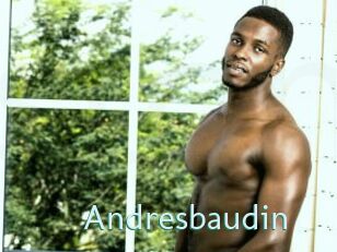 Andresbaudin