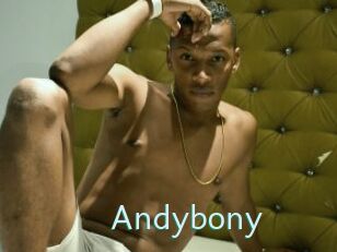 Andybony