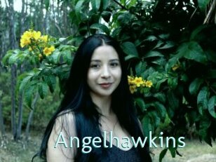 Angelhawkins