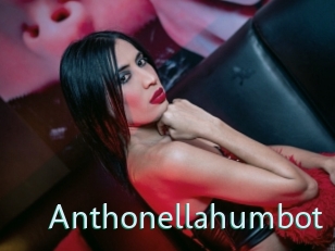 Anthonellahumbot