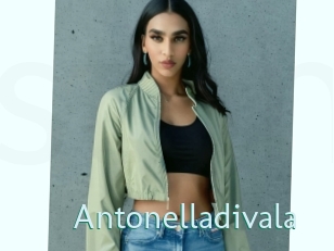 Antonelladivala