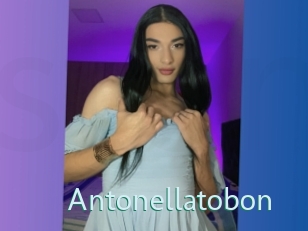 Antonellatobon