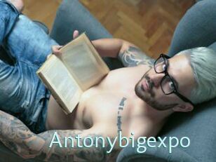 Antonybigexpo