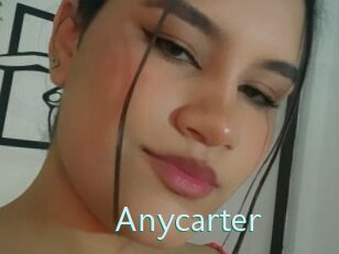 Anycarter