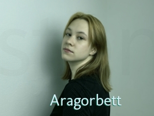 aragorbett Straponles