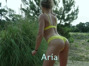 Aria