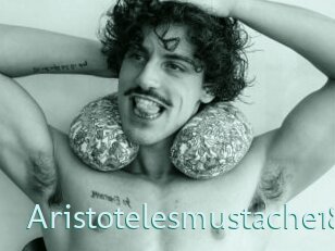 Aristotelesmustache18