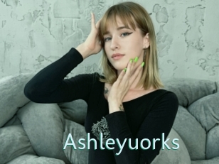 Ashleyuorks