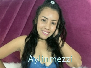 Aylinmezzi