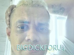 BIGDICKFORU4