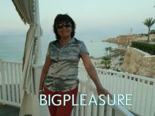 BIGPLEASURE