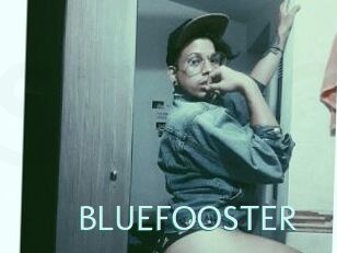 BLUEFOOSTER