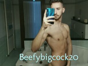 Beefybigcock20