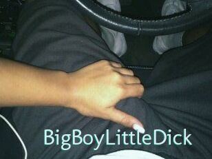 BigBoyLittleDick