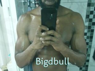 Bigdbull