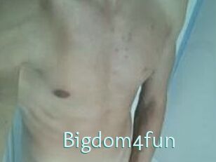 Bigdom4fun