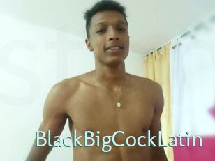 BlackBigCockLatin