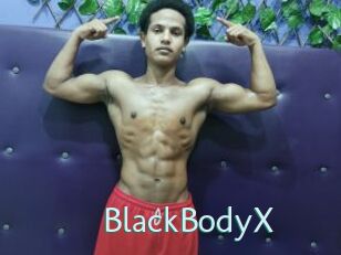 BlackBodyX