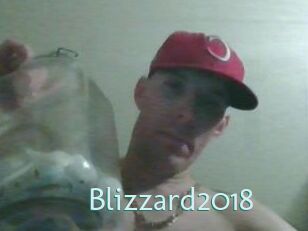 Blizzard2018