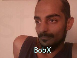 BobX Straponles