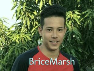 BriceMarsh