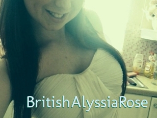 BritishAlyssiaRose