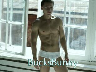 BucksBunny
