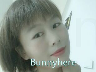 Bunnyhere