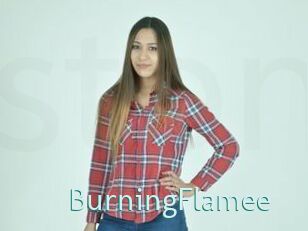 BurningFlamee