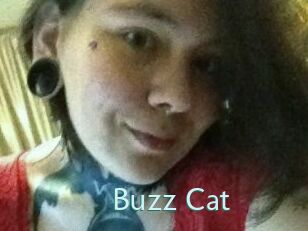 Buzz_Cat